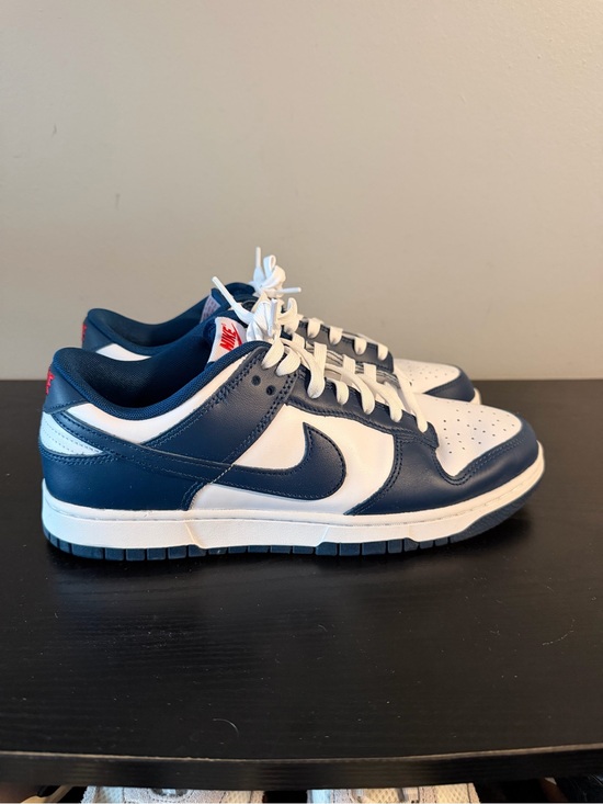 Nike Other - Nike Dunk Valerian Blue